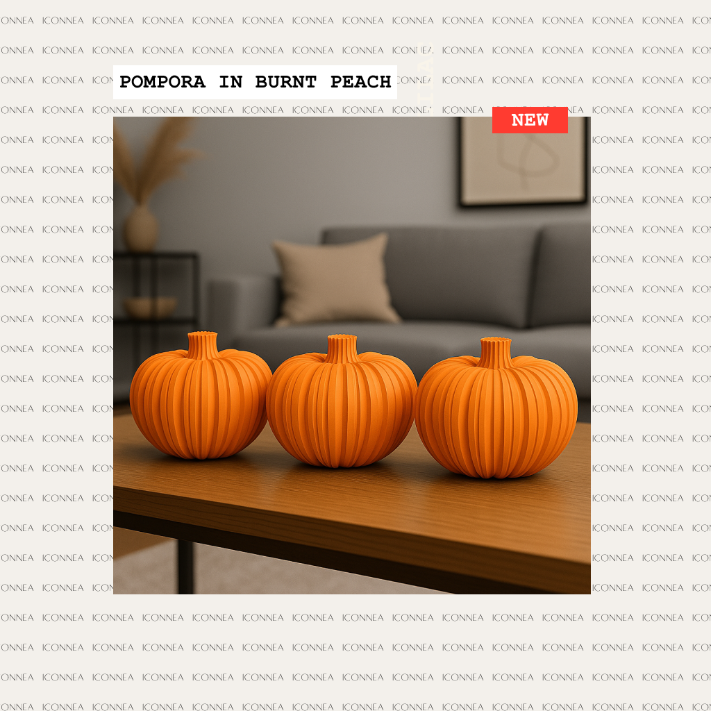 POMPORA Kürbis trifft Kunst